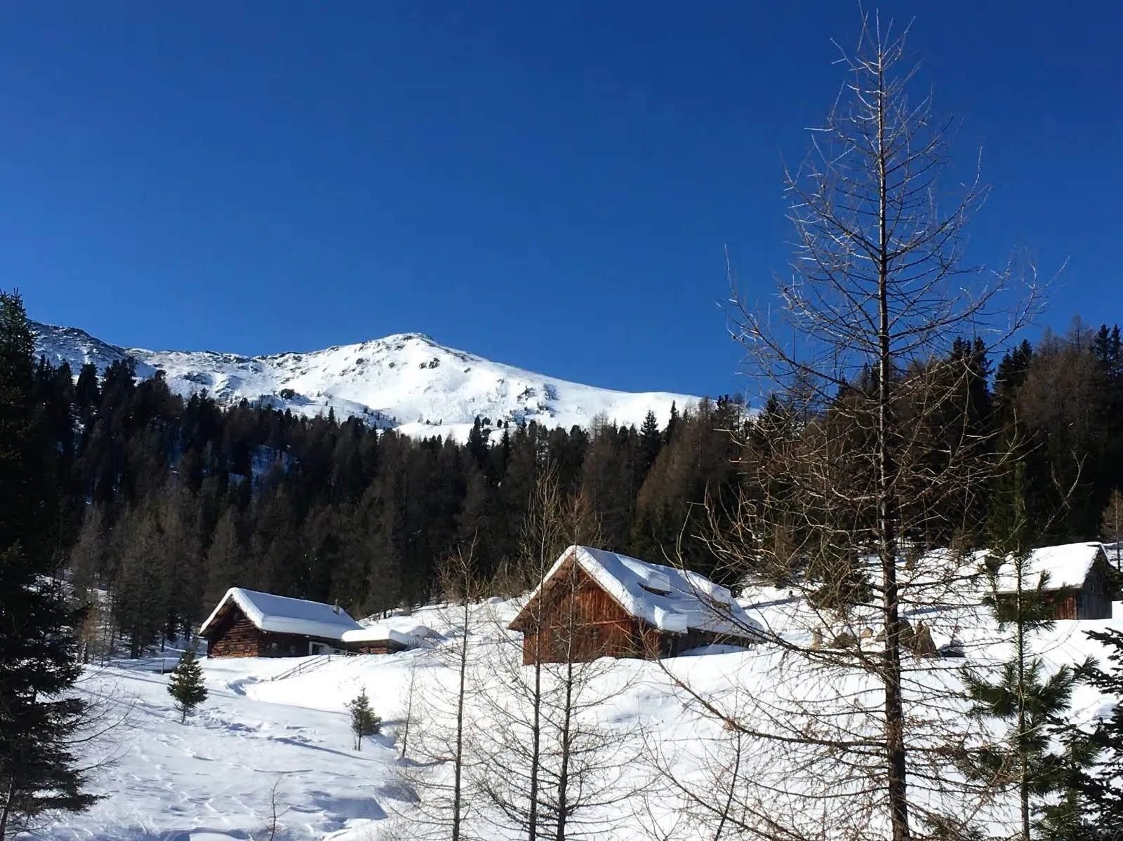 Wandern in der Natur